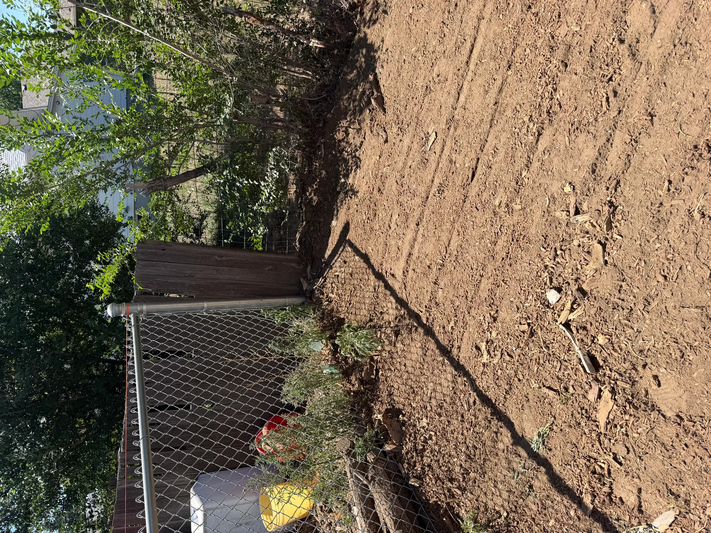 Stump grinding work site with cleared dirt area and chain-link safety fencing