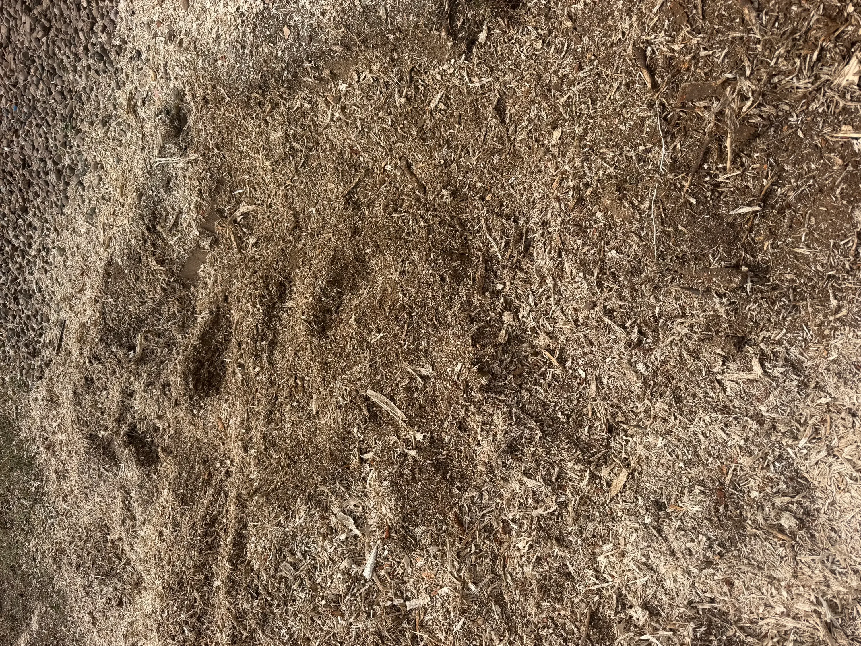 Ground stump debris and wood chips covering prepared soil surface