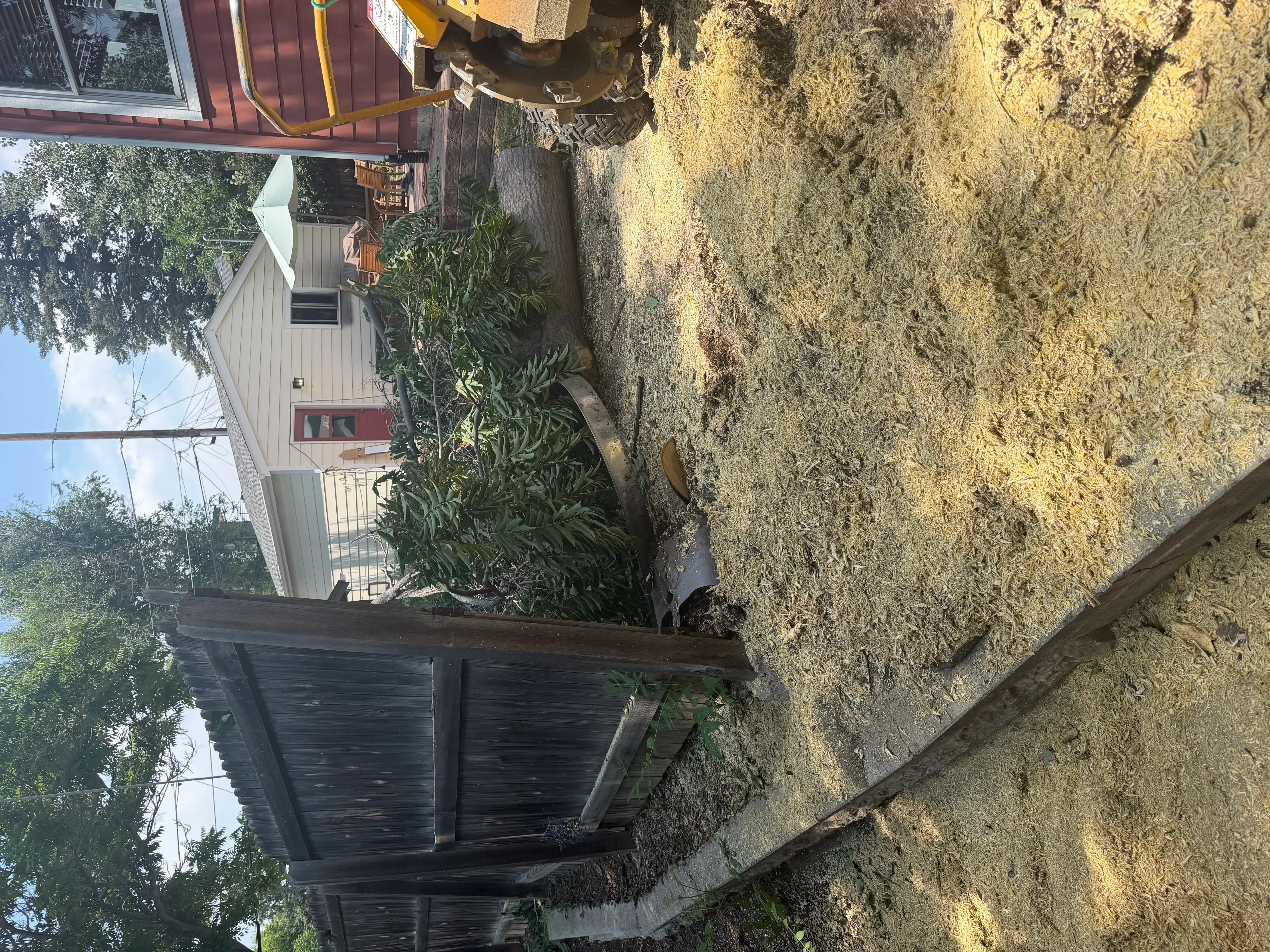 Cleared driveway area with ground-level stump removal and gravel base preparation