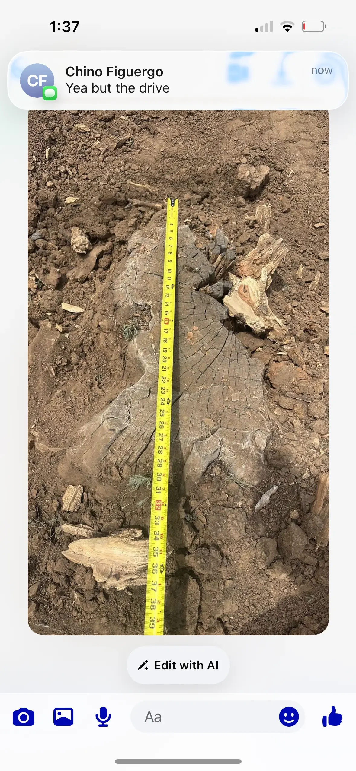 Tree stump grinding removal with measurement scale showing depth of excavation and root system