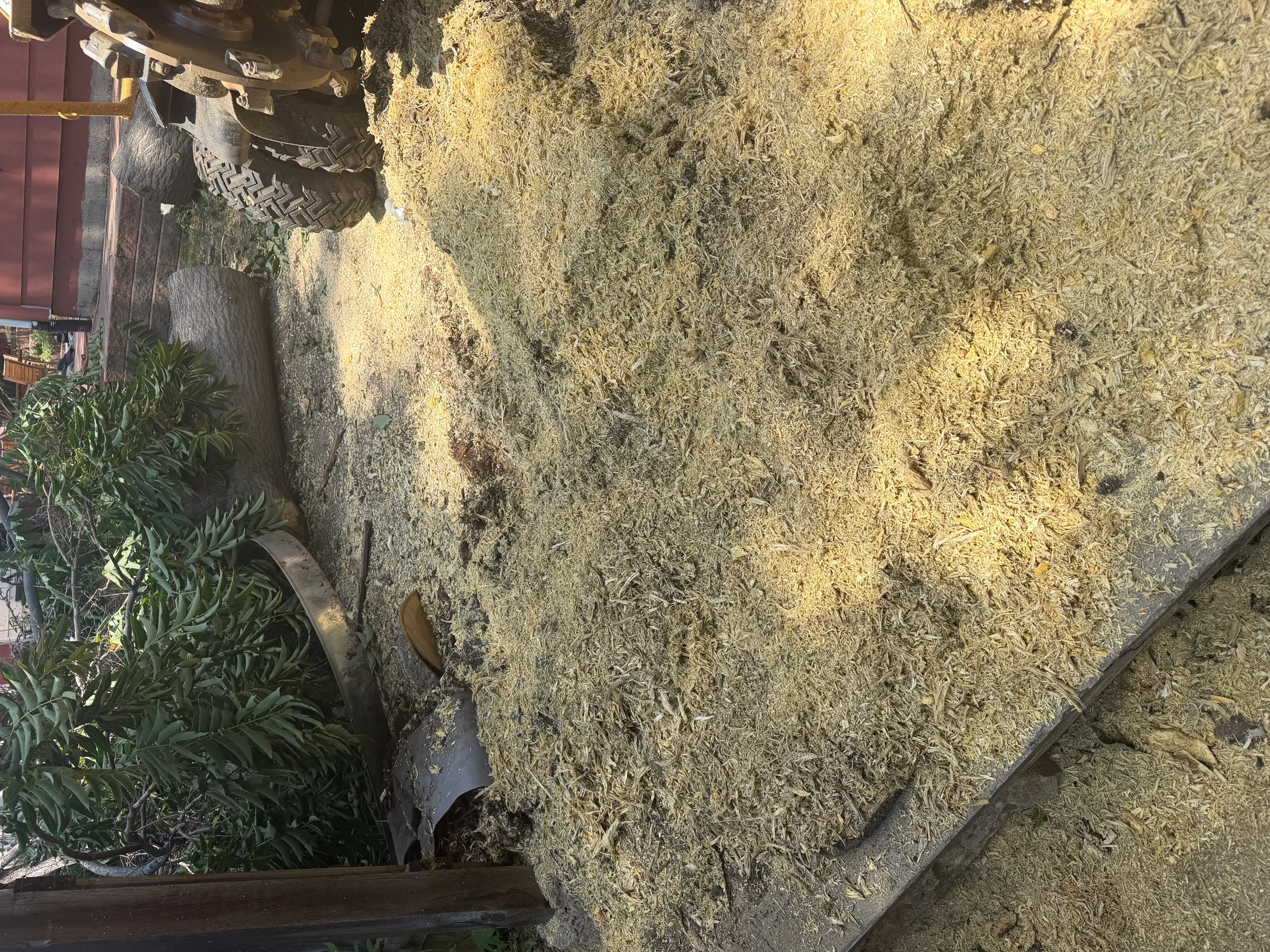 Ground-level stump grinding work with processed wood chips and cleared soil area