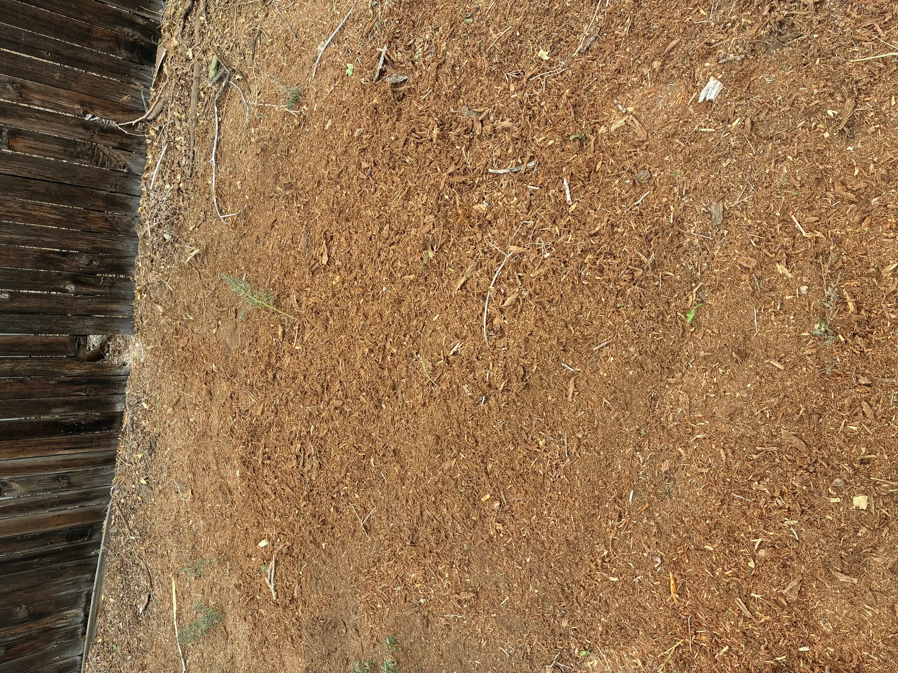 Freshly ground soil with wood chips and debris after stump removal and site clearing
