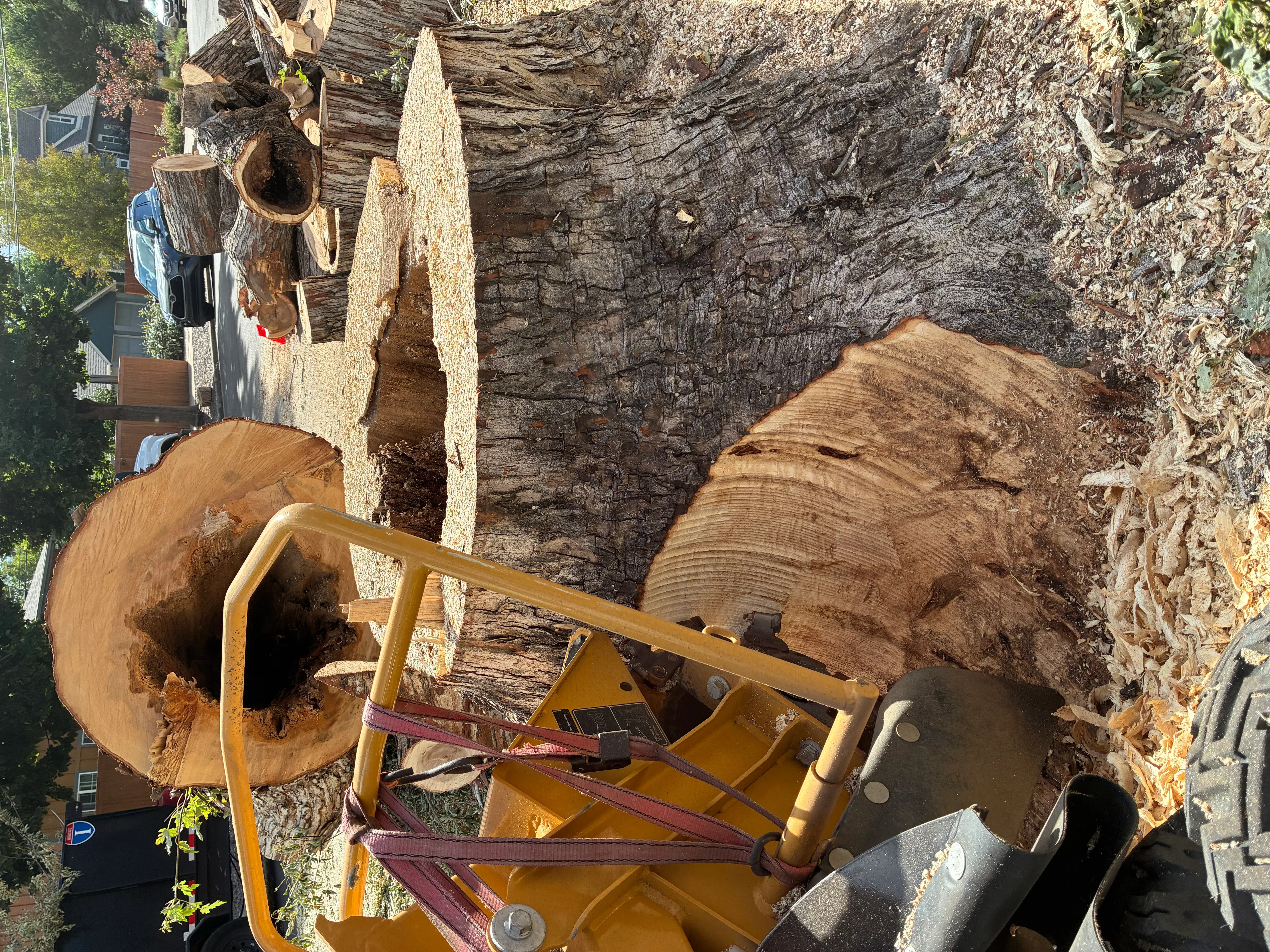 Large tree stump being ground with yellow grinding equipment, wood chips visible