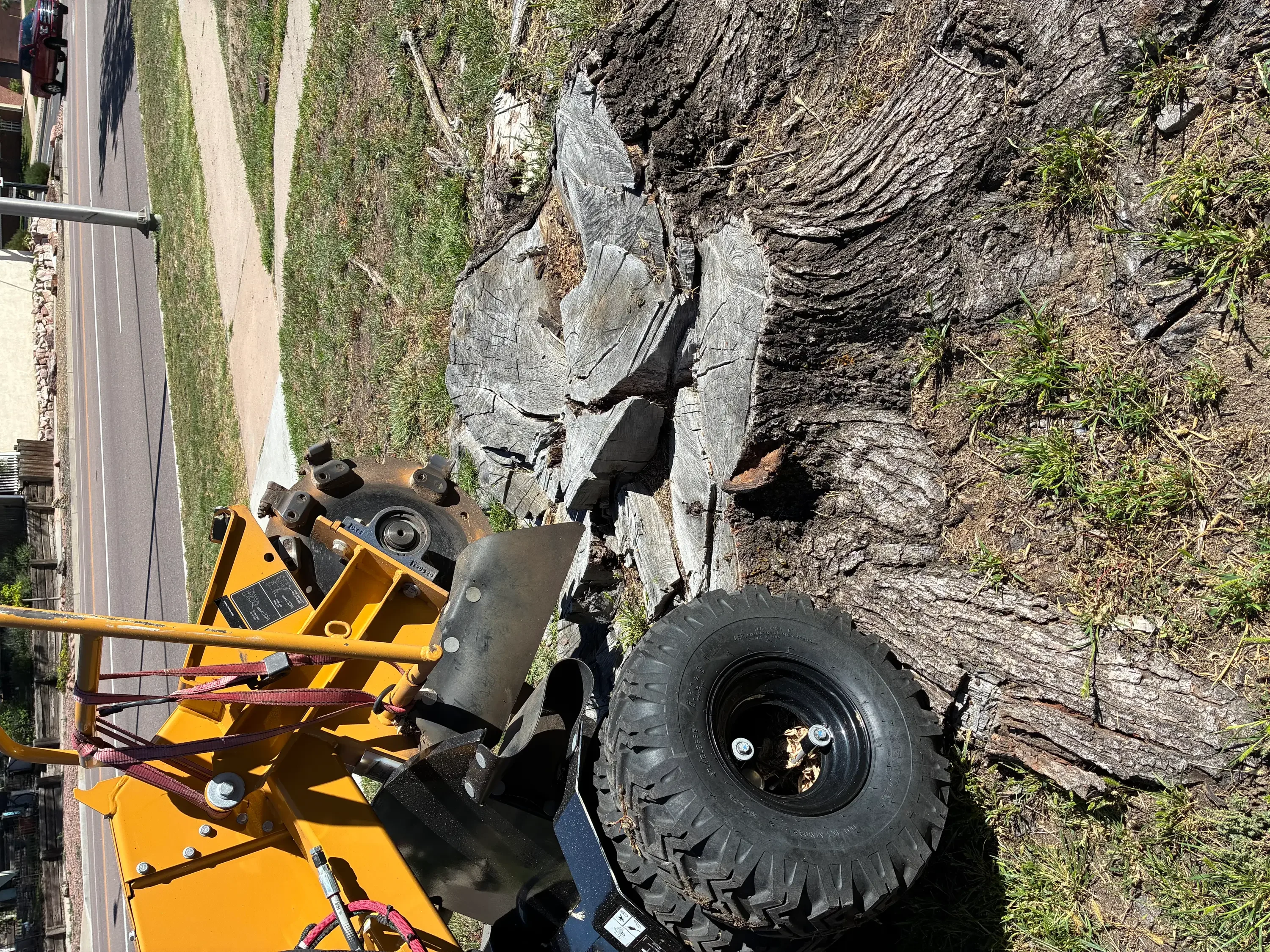 Yellow stump grinder with large tire grinding tree stump into wood chips