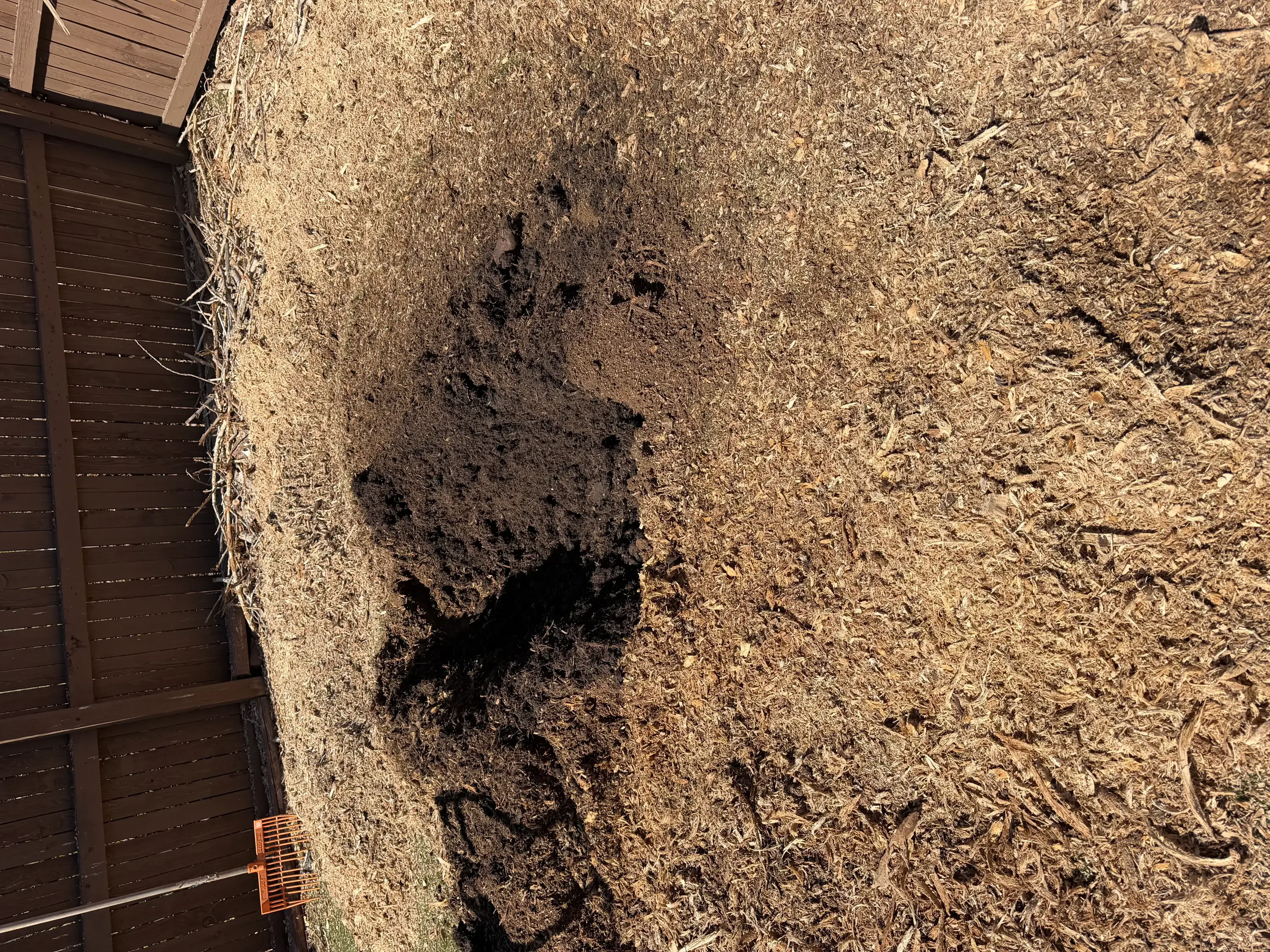 Ground stump site with dirt surface and cleared debris area next to wooden fence