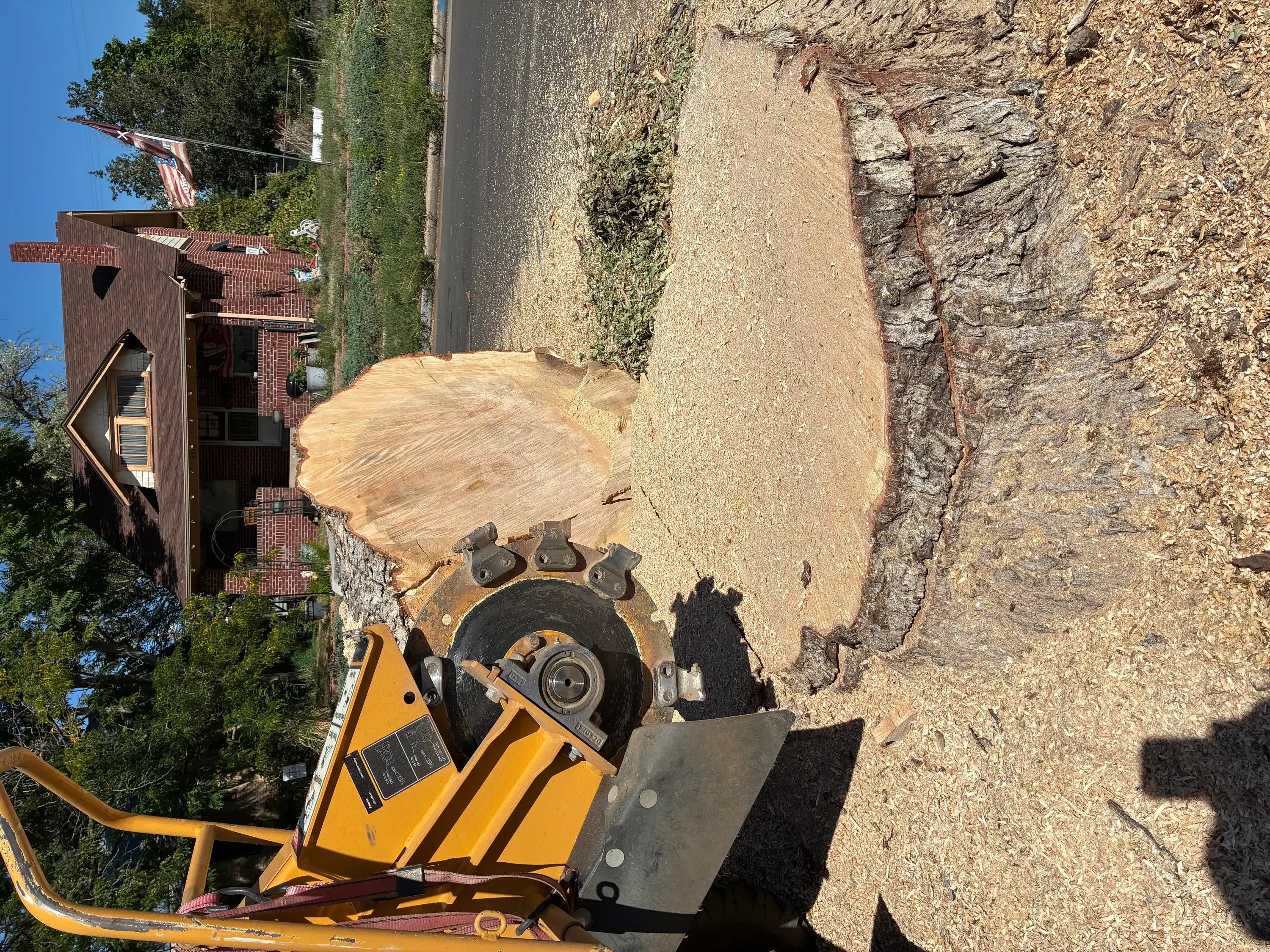 Yellow stump grinder with rotating blade grinding large tree stump into wood chips